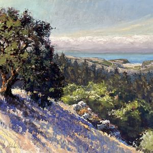 Clark Mitchell's original painting in pastels. From an old guardian oak tree on Pole Mountain, the highest point on the Sonoma County coast, the viewer looks down across wooded hillsides to the coast far below at Jenner Headlands Preserve. On this sunny morning, coastal fog is held out at sea.